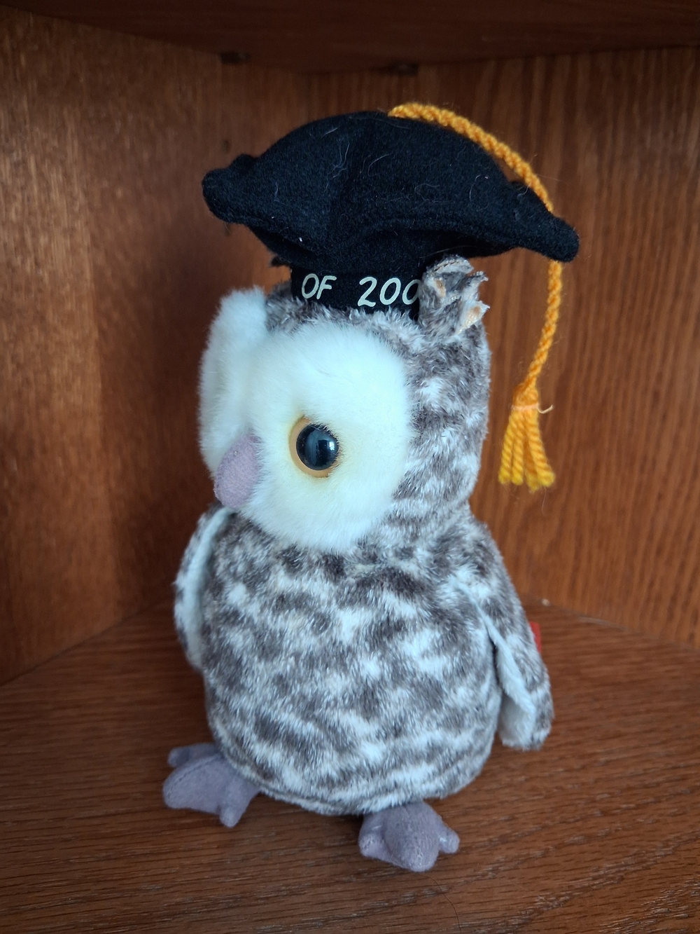 TY Beanie Baby Smart Owl Class of 2000 | Graduation Plush | Vintage Collectible